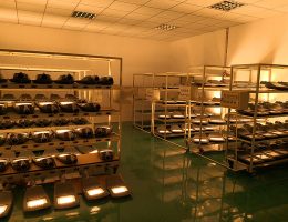 পুরানো পরীক্ষা